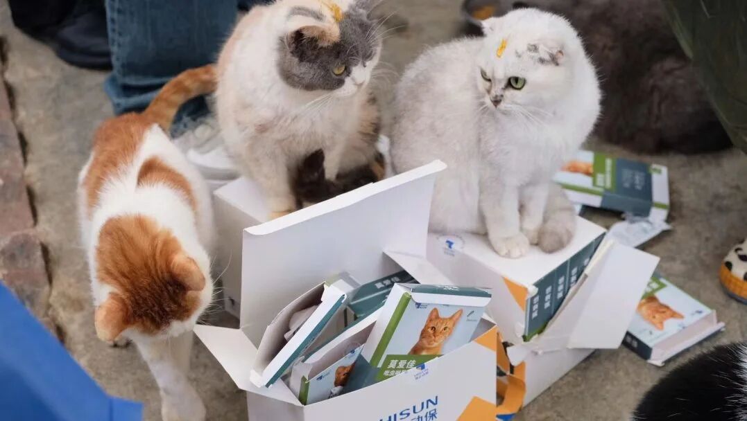 给TA佳倍的爱公益打算